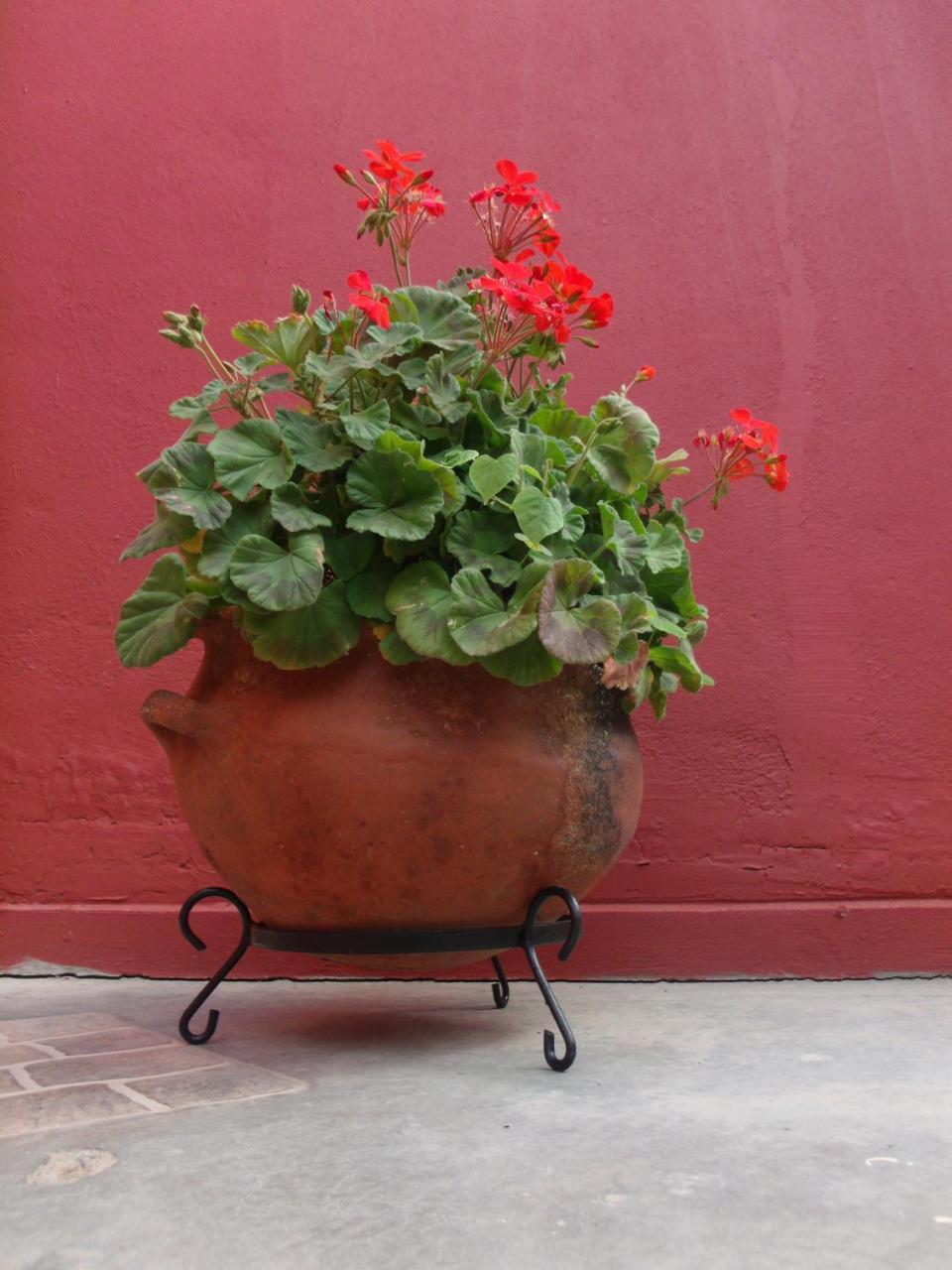 Hosteria Felipa Pastor - Ex Munay Humahuaca Ngoại thất bức ảnh